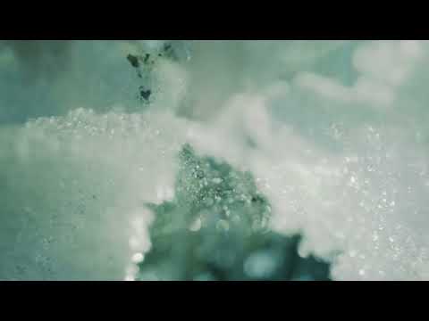 ALEK FIN - Unlearning (Robot Koch Remix) Official Video