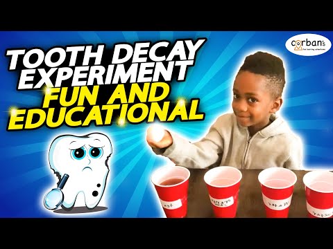 How To: Easy Tooth Decay Experiment - Importance of Brushing Teeth