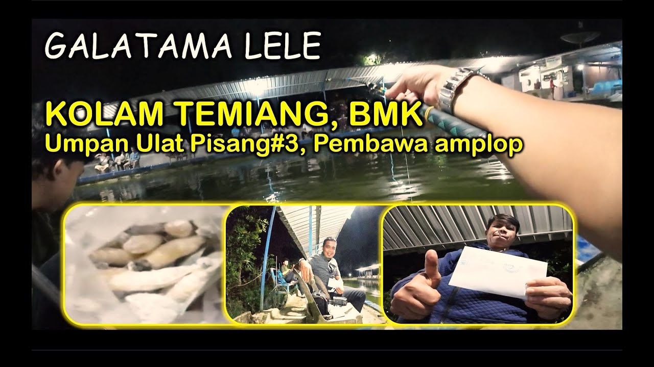 Galatama Lele, Umpan Ulat Pisang Pembawa Amplop #3, Fishing OutdoorTV
