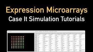 Running expression microarrays with the Case It simulation