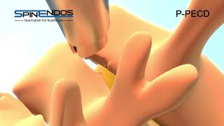 SPINENDOS PECD Cervical spine