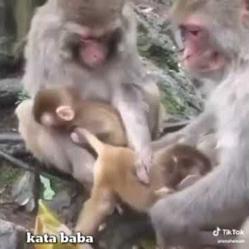 Kata baba
