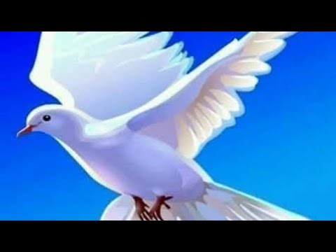 NJOO KWANGU By DEO KALOLELA 