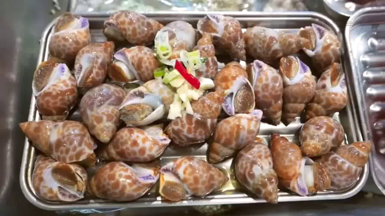 Fired babylonia areolata