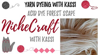 Using Acid Dye for the First Time | Yarn Dyeing with Kassi| NicheCraft with Kassi
