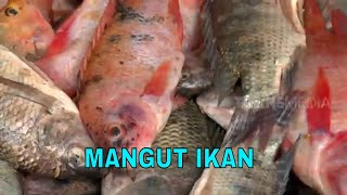 MANGUT IKAN  | JEJAK SI GUNDUL (31/03/23)