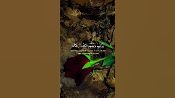 سورة الجمعة Surah Al-Jumu'ah _الآيات_1الى4⚘️⚘️