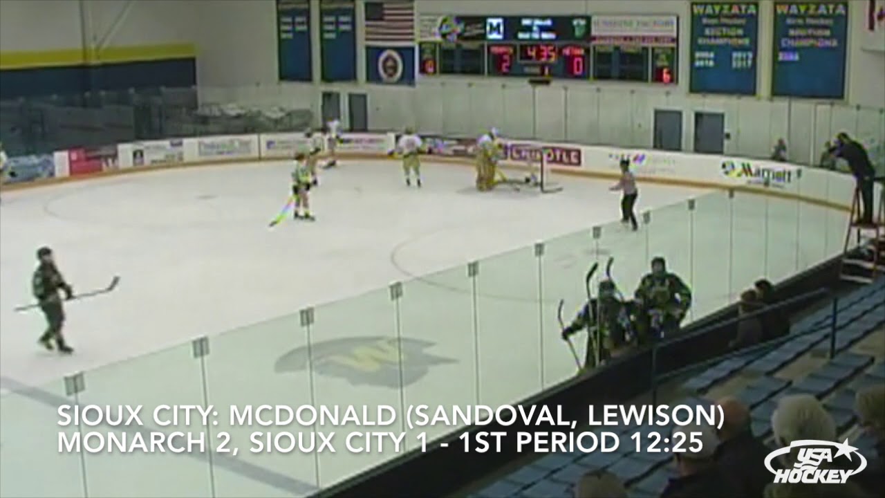 2018 USA Hockey High School Nationals Division II Championship YouTube