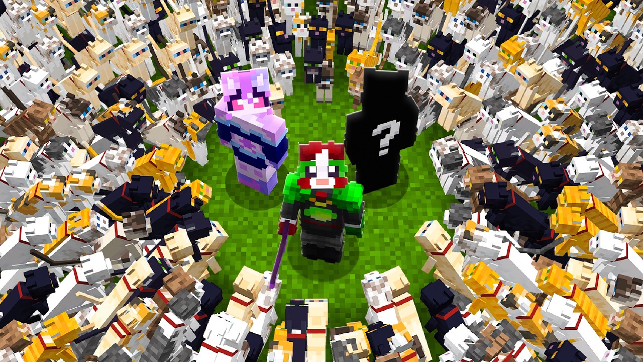 50 Cats vs Sweaty Minecraft SMP