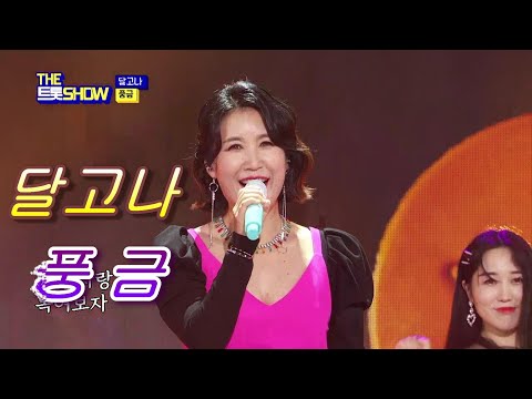풍 금   &   달고나