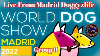 WORLD DOG SHOW MADRID 2022 | FCI GROUP 9
