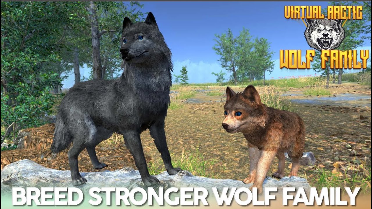 Virtual Arctic Wolf Family Sim / Part- 2 / Simulator Android Gameplay / Games Cohort