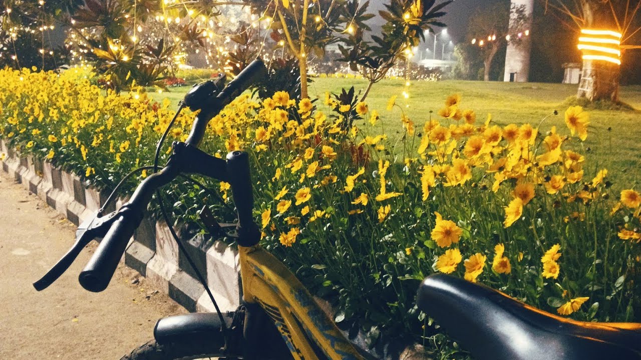 State Museum Bhubaneswar Update Garden 👍🏼💐♥️🫶🏼.. 