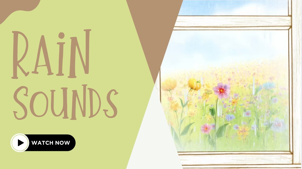 Rainy Window Classroom Ambience (No Music) | Soft Rain Sounds for Quiet Work