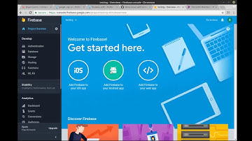 Flutter 42 - Firebase Google Sign in