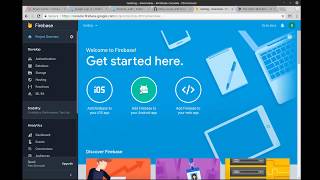 Flutter 42 - Firebase Google Sign in