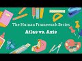 🦴 Atlas vs. Axis Vertebrae | What’s the Difference? 🧠🦇