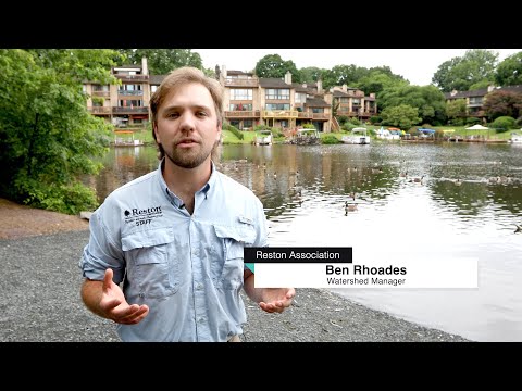 Reston Today - July is Lakes Appreciation Month