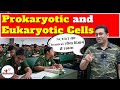 Prokaryotic and Eukaryotic cells l Biology for NEET 2025 l Cell the unit of life