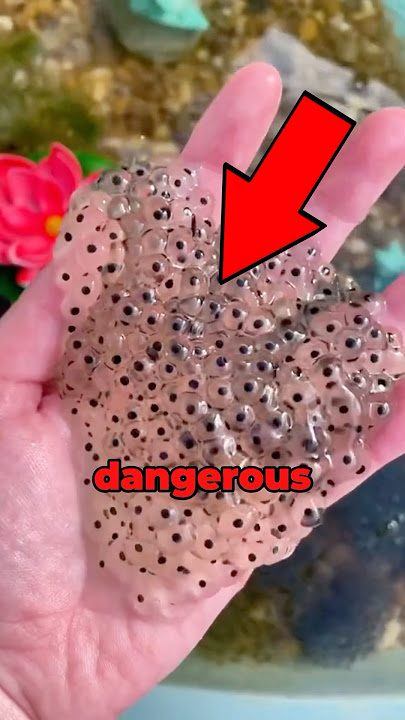 Do NOT Touch This 😳