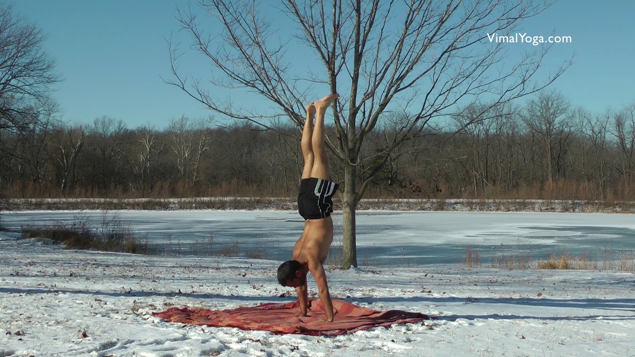 Yoga Asana - Vrikshasana yoga para niños