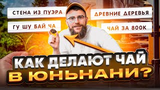 видео: Как делают пуэры в Юньнани? Путешествие по Мэнхаю | Чайная мастерская — лучший китайский чай картинка: Как делают пуэры в Юньнани? Путешествие по Мэнхаю | Чайная мастерская — лучший китайский чай