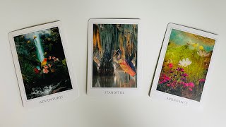 The Person on Your Mind - Thoughts, Feelings, Intentions and Actions - Pick A Card - Timeless Tarot