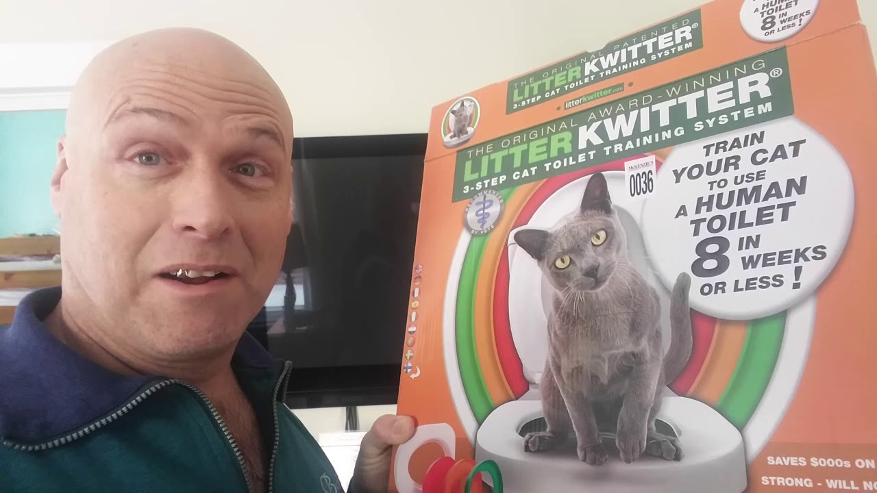 How Does Your Cat Poop? YouTube