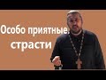 КАК ВЕДУТ СЕБЯ ОСОБО ПРИЯТНЫЕ СТРАСТИ? Священник Игорь Сильченков.