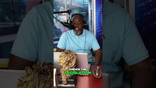 Grandes Y Hermosas Leyes De Trump Bonificación Fiscal Para Personas Mayores Nueva Deducción Para ...