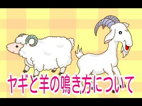 ヤギと羊の鳴き方の違いについて Youtube