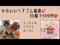 ちっちゃなシアワセ♪ かわいいヘアゴム福袋