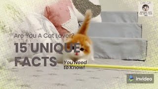 15 Unique Facts of Cat 🐈❤️ by Cute Cat 9 views 2 years ago 3 minutes, 50 seconds