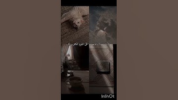 اواخر سورة البقرة بصوت جميل.، تلاوة خاشعة #القرآن_الكريم #المصحف #سورة_البقرة
