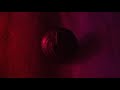 My Kind of Woman - Mac DeMarco | 1 hora