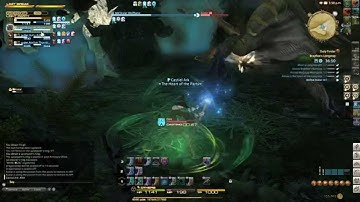 FINAL FANTASY XIV:Dungeon Brayflox`s Longstop lvl32 last boss