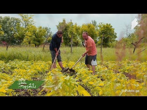 #ფერმა - გერმანელი ექიმის აშენებული ისტორიული სახლი/ ორგანული მეურნეობა გრემში