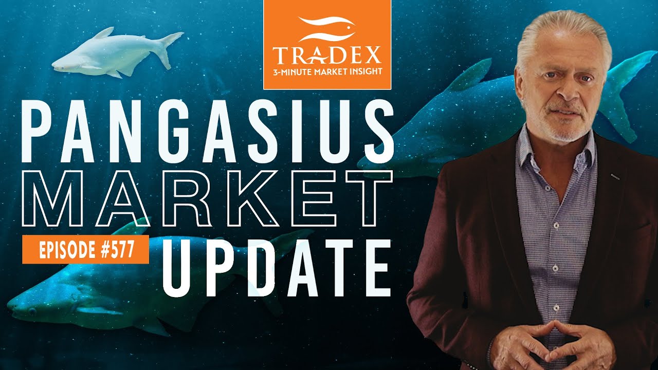 3MMI - Pangasius Market Update: 2022 Outlook, USA Primary Market for Pangasius This Year
