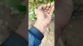 Eo Eo Heuu Vdwty Hvhgf Dgutfg Shhhh Fhj