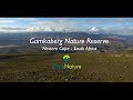 Gamkaberg Nature Reserve: discover the Klein Karoo of South Africa