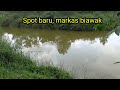 Mancing