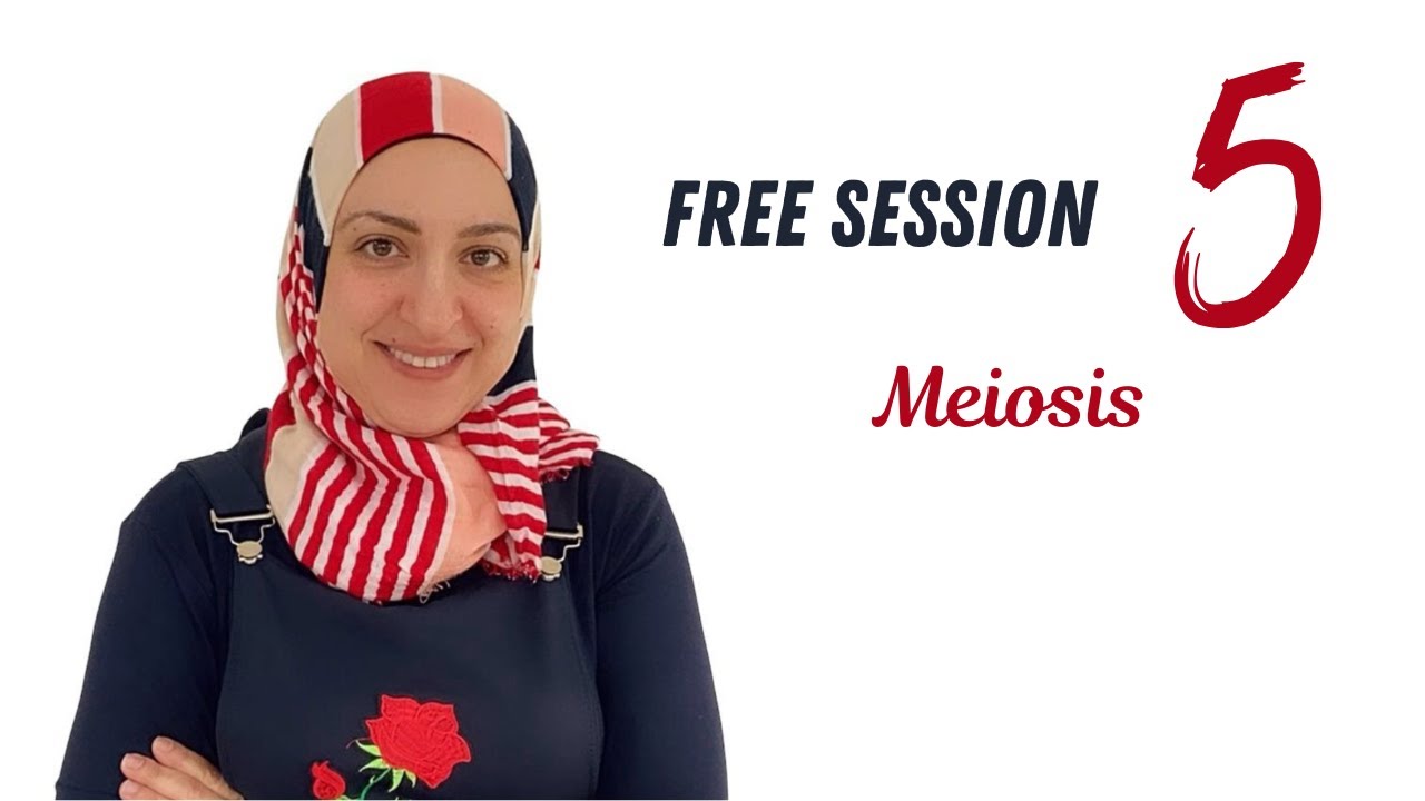Meiosis (Free session 5)