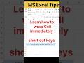 How to wrap Cell immediately | short Cut Keys | ms excel tricks | Excel cell wrap text
