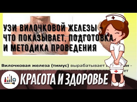 УЗИ вилочковой железы - что показывает, подготовка и методика проведения
