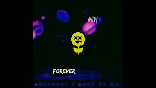 NAVL - Forever