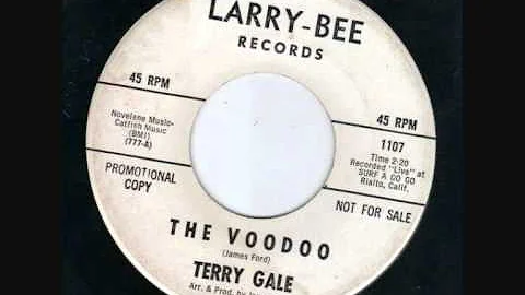 TERRY GALE - THE VOODOO