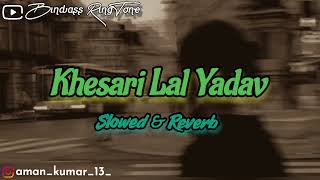 khesari Lal Yadav Slowed & Reverb Song | Bindass Ringtone | Lofi Song |