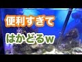 【海水魚】水槽掃除に便利な道具TOP3