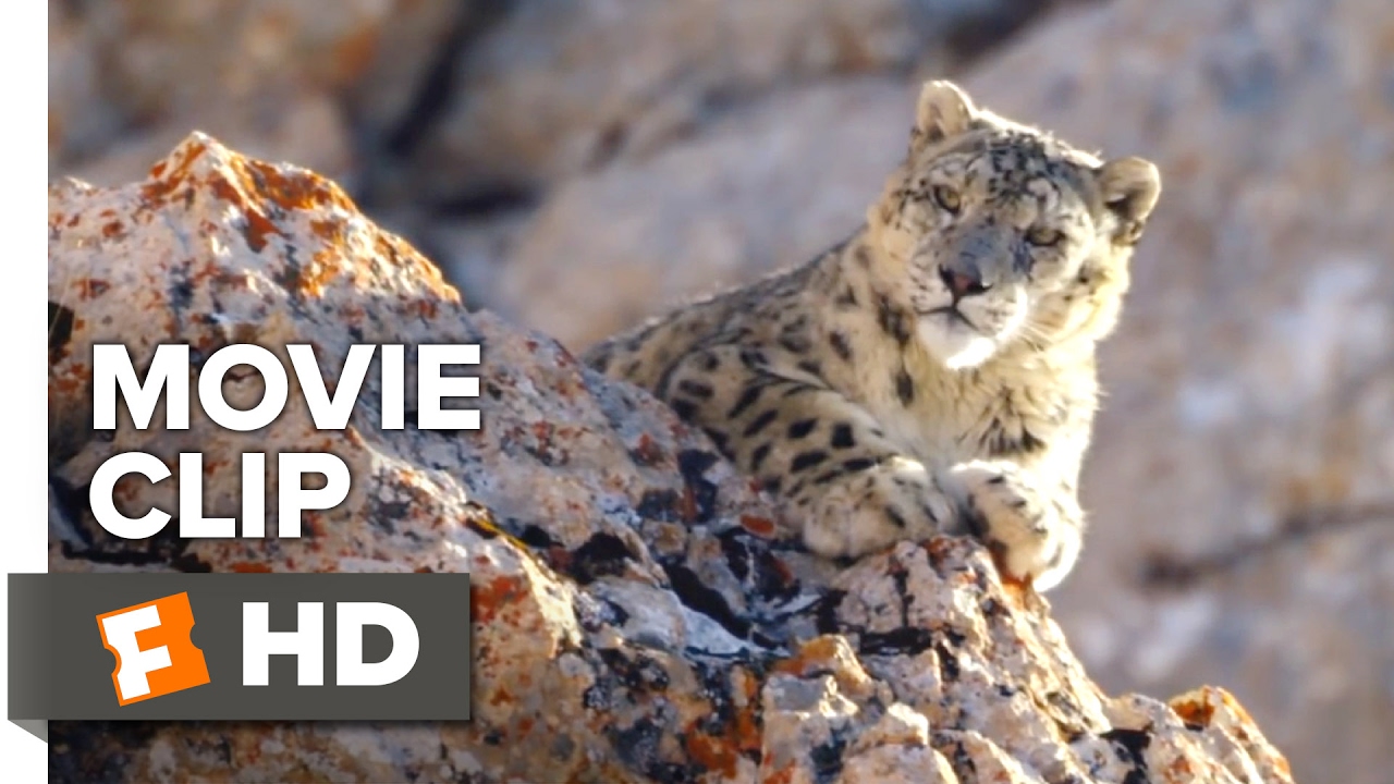 Born In China Movie Clip Meet Dawa 2017 Movieclips Coming Soon born-in-china-movie-clip-meet-dawa-2017-movieclips-coming-soon