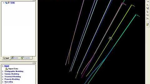 Petrel Schlumberger import data 1